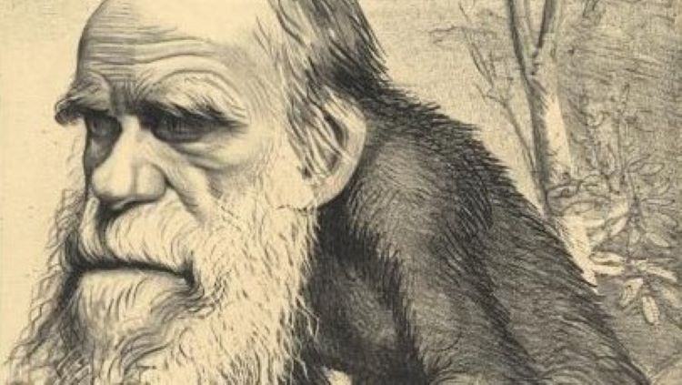 Darwin caricaturised